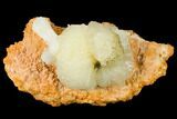Bargain, Stilbite Crystal Cluster - India #168760-1